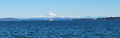 Sailboats getting organized with Mount Baker in the background. Willows Beach, Oak Bay.