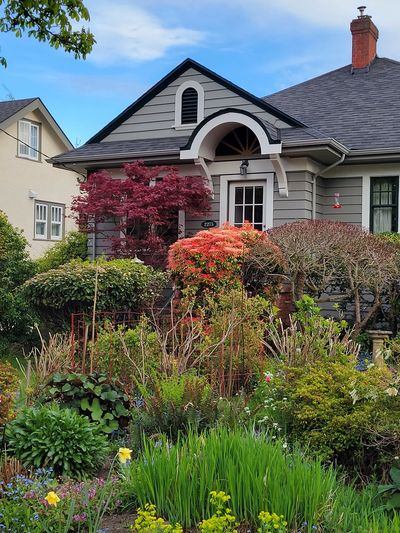 well composed front garden, oak bay